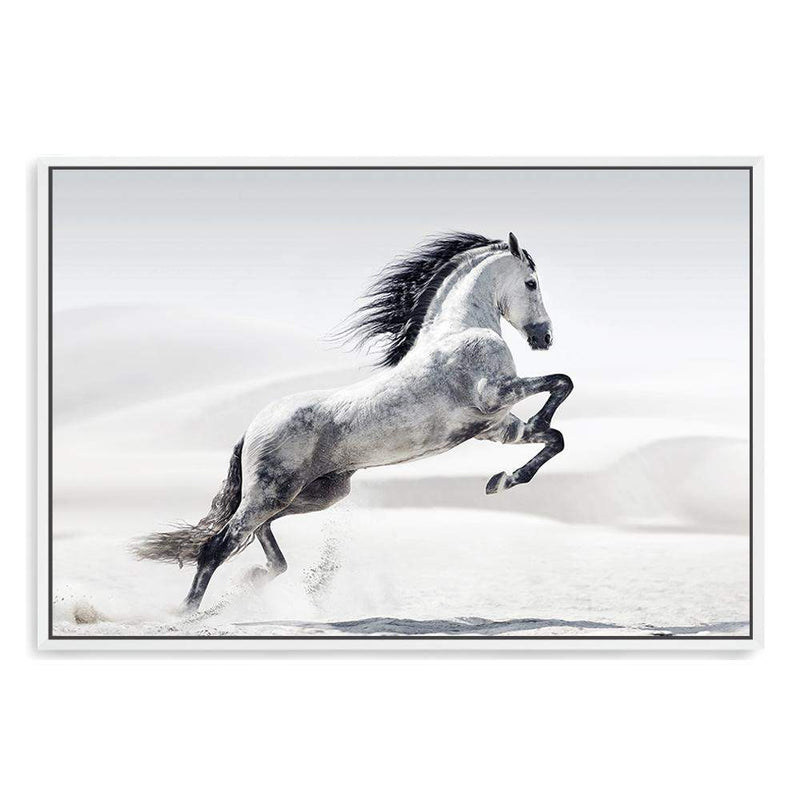 White Stallion-The Paper Tree-animal,black & white,hamptons,horse,landscape,monochrome,morocco,nature,neutral,premium art print,stallion,wall art,Wall_Art,Wall_Art_Prints,white horse,white stallion
