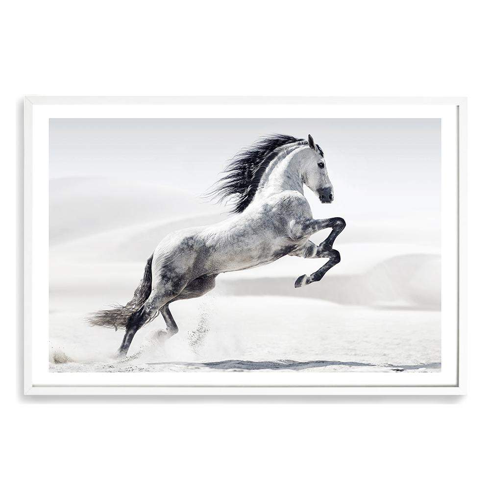 White Stallion Art Print, Framed Wall Art & Canvas Print – The Paper Tree