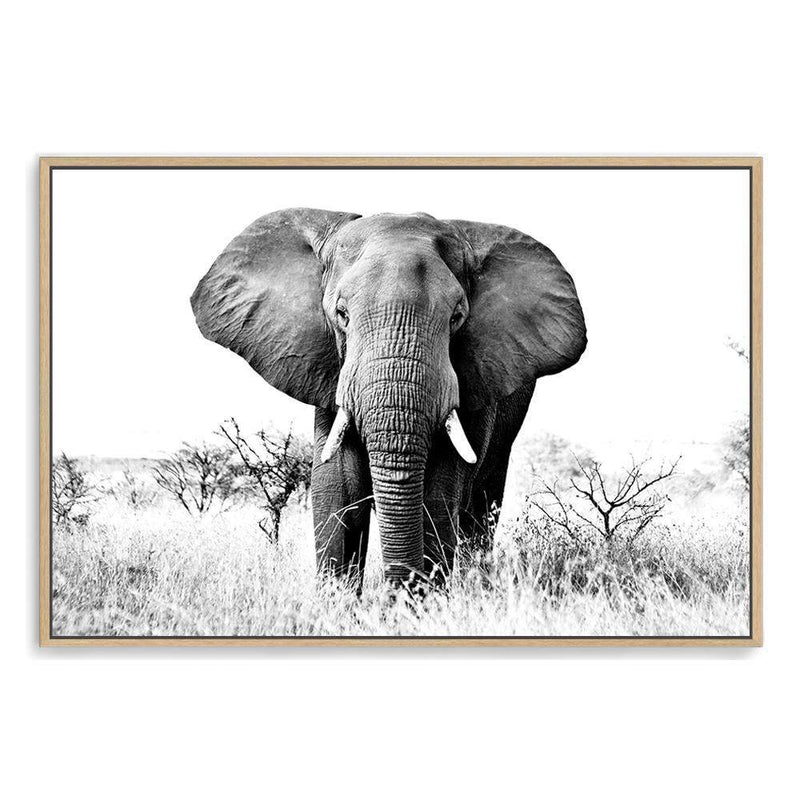 The Elephant-The Paper Tree-africa,african,animal,black,black & white,elephant,landscape,monochrome,nature,premium art print,wall art,Wall_Art,Wall_Art_Prints