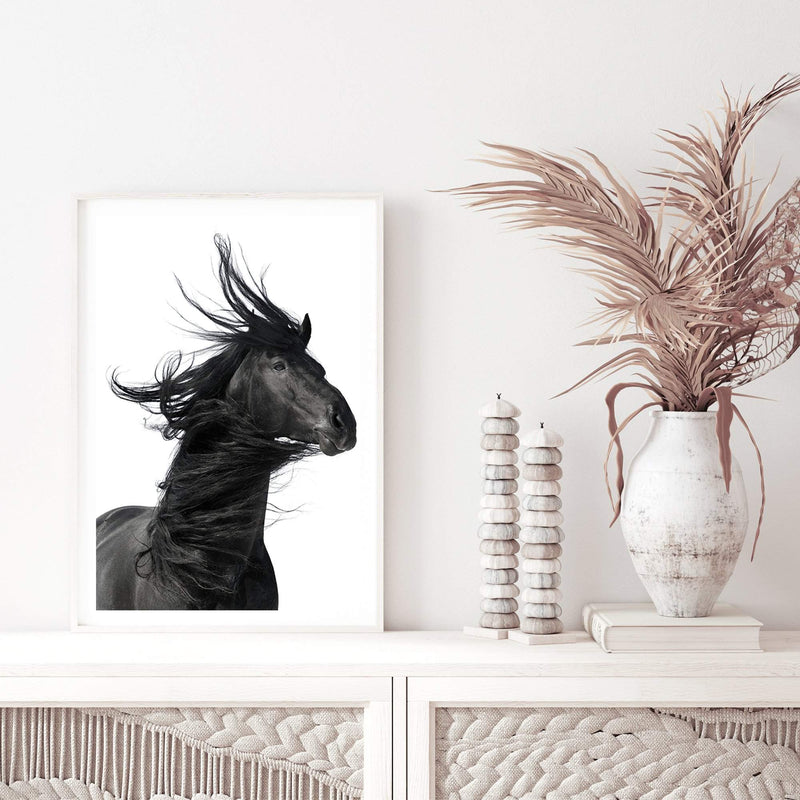 Black Horses Mane-The Paper Tree-animal,black,black & white,horse,minimalist,monochrome,moroccan,morocco,portait,premium art print,scandi,stallion,wall art,Wall_Art,Wall_Art_Prints