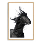 Black Horses Mane-The Paper Tree-animal,black,black & white,horse,minimalist,monochrome,moroccan,morocco,portait,premium art print,scandi,stallion,wall art,Wall_Art,Wall_Art_Prints