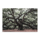 The Oak Tree-The Paper Tree-botanical,forest,landscape,leaf,leaves,magical,muted tone,nature,oak,oak tree,pathway,premium art print,tree,trees,wall art,Wall_Art,Wall_Art_Prints,woods