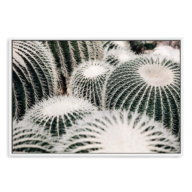 Golden Barrel Cactus-The Paper Tree-boho,botanical,cacti,cactus,cluster,desert,golden barrel cactus,green,landscape,muted tone,plant,premium art print,texas,wall art,Wall_Art,Wall_Art_Prints