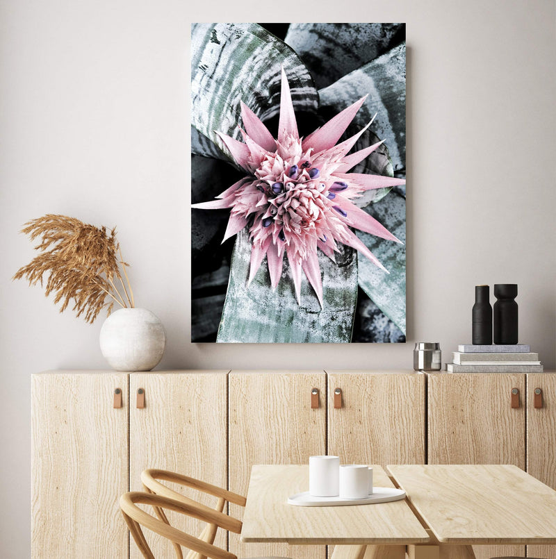 Pink Bromeliad Flower II-The Paper Tree-floral,flower,flowers,peach,portrait,premium art print,wall art,Wall_Art,Wall_Art_Prints,waratah,waratah flower
