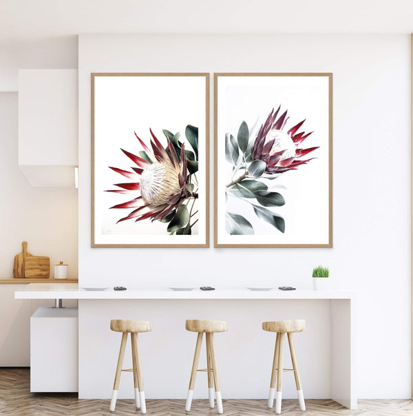 Set of 2 - Red King Protea  & No.2-The Paper Tree-Artwork,Floral,floral art print,floral art prints,floral artwork,floral print,flower,flower print,flower print sets,flowers,portrait,premium art print,protea,protea flower,protea flowers,protea print,red,red flower,red protea,red protea flower,wall art,Wall_Art,Wall_Art_Prints,wild flower,wild flowers
