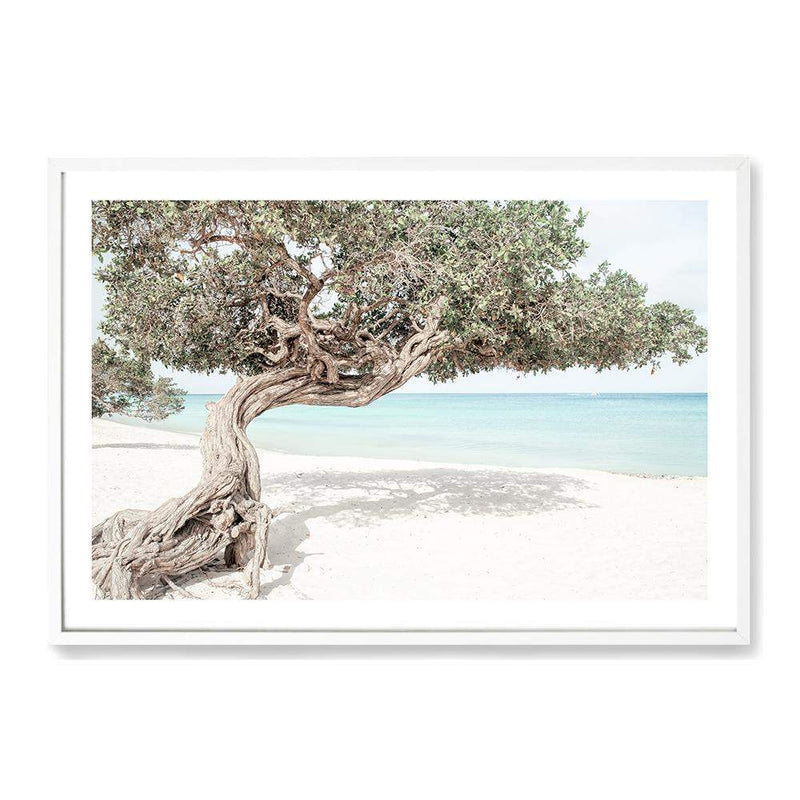 Divi Divi Tree-The Paper Tree-Aruba,beach,blue,boho,coast,coastal,divi divi tree,green,hamptons,island,landscape,ocean,premium art print,seaside,wall art,Wall_Art,Wall_Art_Prints
