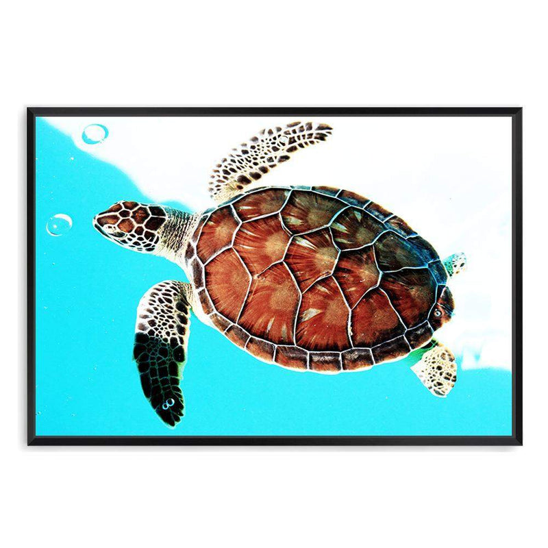 Turtle-The Paper Tree-Animal,Beach,Blue,Coastal,landscape,Ocean,premium art print,Sea,Sea Animal,Sea Creature,Turtle,wall art,Wall_Art,Wall_Art_Prints,Water