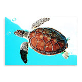 Turtle-The Paper Tree-Animal,Beach,Blue,Coastal,landscape,Ocean,premium art print,Sea,Sea Animal,Sea Creature,Turtle,wall art,Wall_Art,Wall_Art_Prints,Water