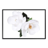 Magnolia Flowers II-The Paper Tree-botanical,floral,flower,hamptons,magnolia,magnolia flower,neutral,portrait,premium art print,wall art,Wall_Art,Wall_Art_Prints,white,white flower,white magnolia