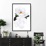 Magnolia Flowers II-The Paper Tree-botanical,floral,flower,hamptons,magnolia,magnolia flower,neutral,portrait,premium art print,wall art,Wall_Art,Wall_Art_Prints,white,white flower,white magnolia