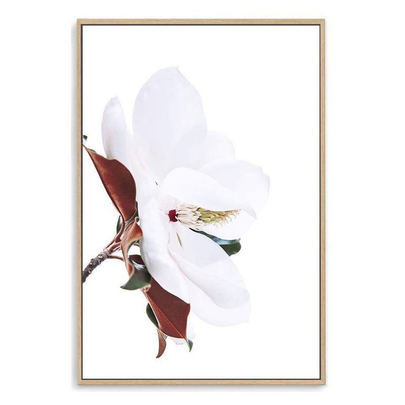 Magnolia Flowers-The Paper Tree-botanical,floral,flower,green,hamptons,landscape,magnolia,magnolia flower,neutral,premium art print,wall art,Wall_Art,Wall_Art_Prints,white,white flower,white magnolia