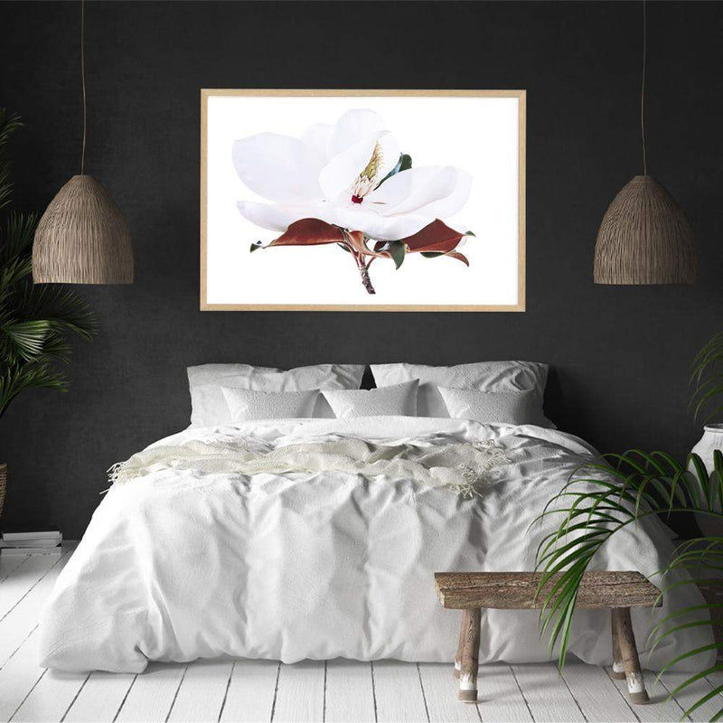 White Magnolia II-The Paper Tree-botanical,floral,flower,hamptons,landscape,magnolia,magnolia flower,neutral,premium art print,tan,wall art,Wall_Art,Wall_Art_Prints,white,white flower,white magnolia