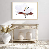 White Magnolia II-The Paper Tree-botanical,floral,flower,hamptons,landscape,magnolia,magnolia flower,neutral,premium art print,tan,wall art,Wall_Art,Wall_Art_Prints,white,white flower,white magnolia