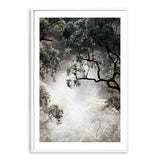 Canopy Of Mist-The Paper Tree-botanical,bush,canopy,forest,green,mist,misty,misty trees,muted tone,nature,portrait,premium art print,rainforest,tree,trees,wall art,Wall_Art,Wall_Art_Prints