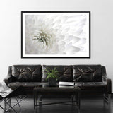 White Dahlia Flower-The Paper Tree-botanical,dahlia,dahlia flower,floral,flower,hamptons,landscape,neutral,petals,premium art print,wall art,Wall_Art,Wall_Art_Prints,white,white dahlia