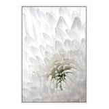 White Dahlia Flower II-The Paper Tree-botanical,dahlia,dahlia flower,floral,flower,hamptons,neutral,petals,portrait,premium art print,wall art,Wall_Art,Wall_Art_Prints,white,white dahlia