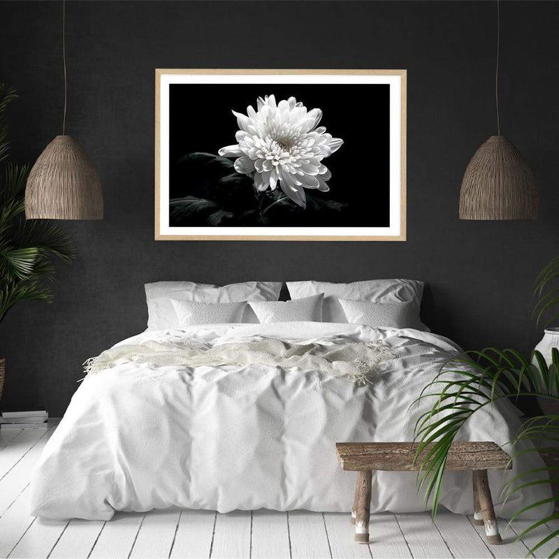 Chysanthemum Flower-The Paper Tree-black,black & white,black and white,chrysanthemum,floral,flower,landscape,monochrome,petals,premium art print,wall art,Wall_Art,Wall_Art_Prints,white,white flower