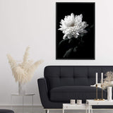 Chysanthemum Flower II-The Paper Tree-black,black & white,black and white,chrysanthemum,floral,flower,monochrome,petals,portrait,premium art print,wall art,Wall_Art,Wall_Art_Prints,white,white flower