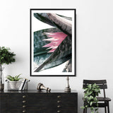 Pink Bromeliad III-The Paper Tree-botanical,bromeliad,bromeliad flower,floral,flower,green,pink,pink bormeliad,plant,portrait,premium art print,succulent,wall art,Wall_Art,Wall_Art_Prints
