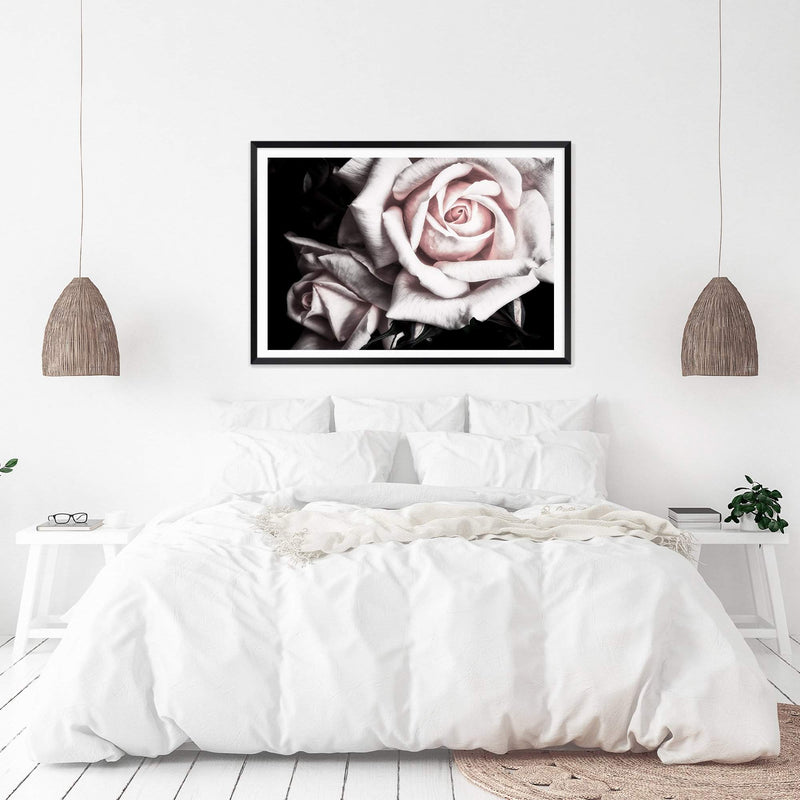 Pastel Pink Rose-The Paper Tree-black,floral,flower,landscape,pastel,pastel pink,petals,pink,pink flower,pink rose,premium art print,rose,roses,wall art,Wall_Art,Wall_Art_Prints