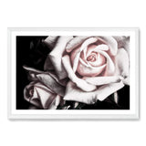 Pastel Pink Rose-The Paper Tree-black,floral,flower,landscape,pastel,pastel pink,petals,pink,pink flower,pink rose,premium art print,rose,roses,wall art,Wall_Art,Wall_Art_Prints