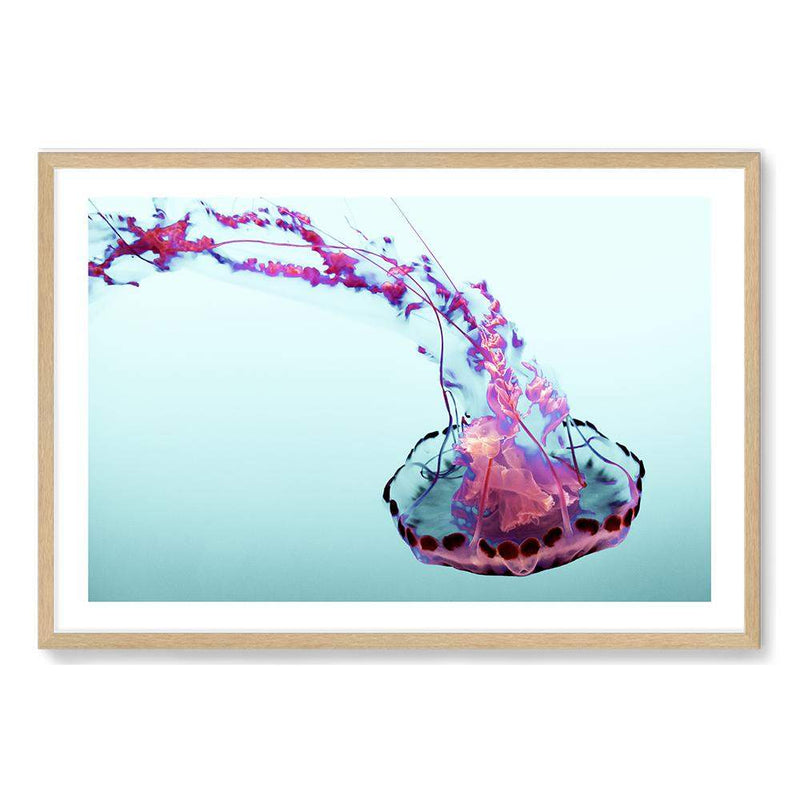 Pink Jellyfish-The Paper Tree-Animal,Colourful,Fish,hamptons,Jellyfish,landscape,Ocean,Pink,premium art print,Sea,Teal,vibrant,wall art,Wall_Art,Wall_Art_Prints