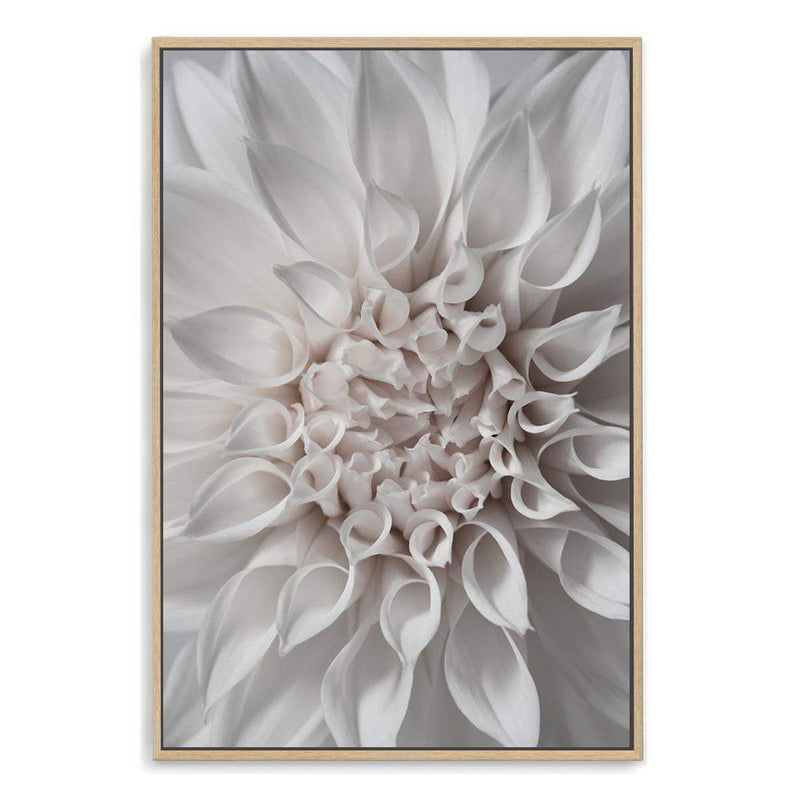 White Dahlia II-The Paper Tree-boho,DAHLIA,dahlia flower,feminine,Floral,flower,flowers,hamptons,neutral,portrait,premium art print,wall art,Wall_Art,Wall_Art_Prints,white