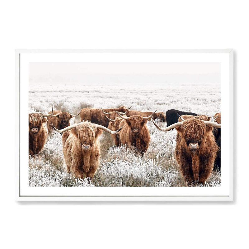 Highland Cattle-The Paper Tree-Artwork,bohemian,boho,CATTLE,framed,framed print,herd,highland bull,highland cattle,highland cow,landscape,nature,premium art print,TAN,wall art,Wall_Art,Wall_Art_Prints