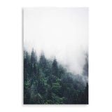 Pine Forest Trees-The Paper Tree-america,australia,botanical,enchanting,forest,green,mist,mountains,nature,pine forest,pine trees,portrait,premium art print,tree,trees,wall art,Wall_Art,Wall_Art_Prints