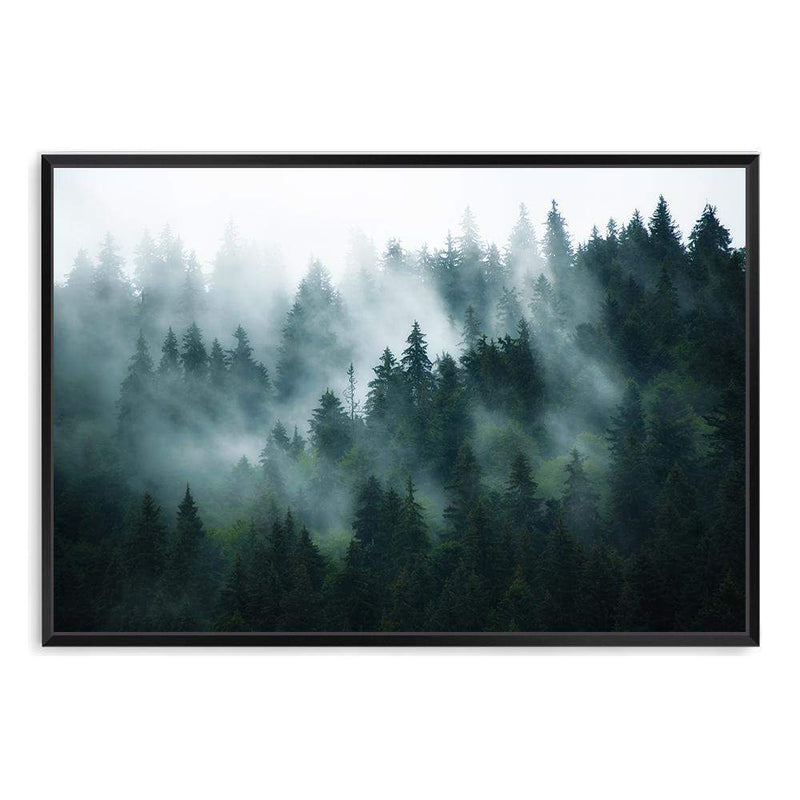 Misty Pine Forest Trees-The Paper Tree-america,australia,botanical,enchanting,forest,green,landscape,mist,mountains,nature,pine forest,pine trees,premium art print,tree,trees,wall art,Wall_Art,Wall_Art_Prints