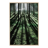 Forest Sunlight-The Paper Tree-beams,botanical,forest,green,light,nature,portrait,premium art print,rays,sun,sunlight,tree,tree trunk,trees,trunks,wall art,Wall_Art,Wall_Art_Prints,woods