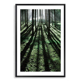 Forest Sunlight-The Paper Tree-beams,botanical,forest,green,light,nature,portrait,premium art print,rays,sun,sunlight,tree,tree trunk,trees,trunks,wall art,Wall_Art,Wall_Art_Prints,woods