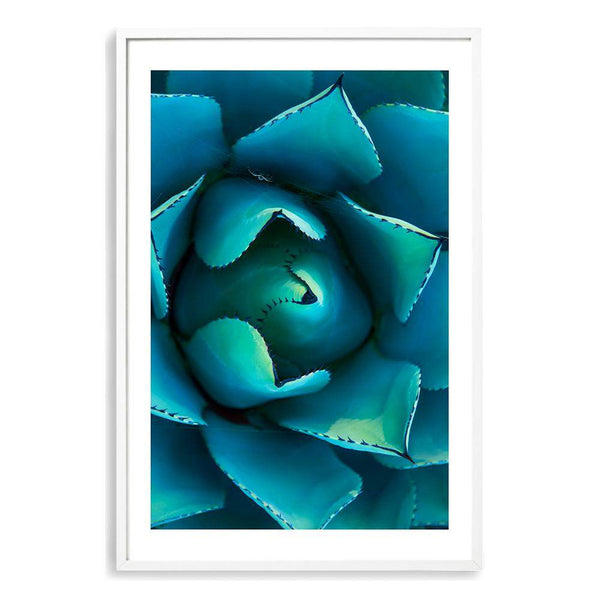 Teal Succulent-The Paper Tree-blue,botanical,cacti,cactus,colourful,portrait,premium art print,spider,succulent,teal,vibrant,wall art,Wall_Art,Wall_Art_Prints,web