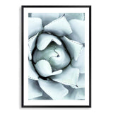 White Succulent-The Paper Tree-botanical,cacti,cactus,hamptons,neutral,portrait,premium art print,spider,succulent,wall art,Wall_Art,Wall_Art_Prints,web,white
