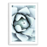 White Succulent-The Paper Tree-botanical,cacti,cactus,hamptons,neutral,portrait,premium art print,spider,succulent,wall art,Wall_Art,Wall_Art_Prints,web,white