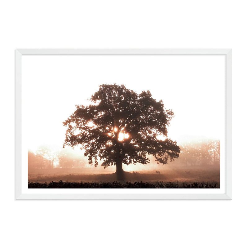 Tree In The Dawn Sunlight-The Paper Tree-beams,farm,landscape,mist,nature,orange,premium art print,sheep,sun,sun beam,sun ray,sun rays,sunlight,TAN,tree,trees,wall art,Wall_Art,Wall_Art_Prints