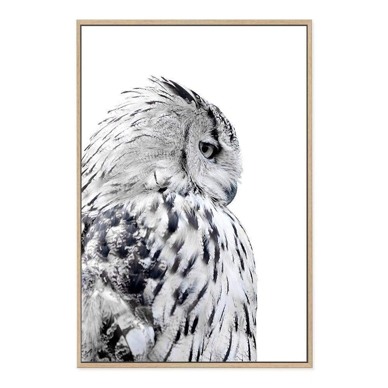 White Owl-The Paper Tree-animal,bird,black & white,black and white,boho,feathers,hamptons,harry potter,hedwig,monochrome,nature,owl,portrait,premium art print,wall art,Wall_Art,Wall_Art_Prints,white