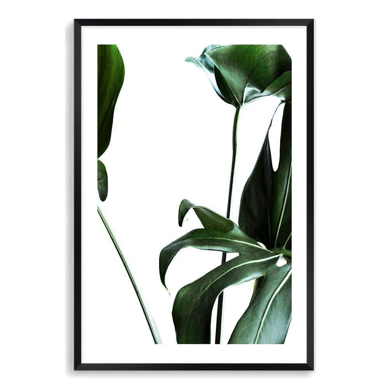 Monstera Leaves-The Paper Tree-botanical,dark green,green,jungle,leaf,leaves,minimal,modern,monstera,portrait,premium art print,scandi,wall art,Wall_Art,Wall_Art_Prints
