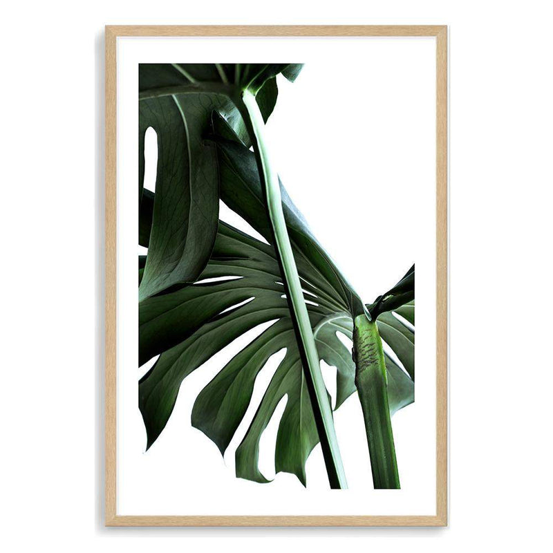 Monstera Leaves II-The Paper Tree-botanical,dark green,green,jungle,leaf,leaves,minimal,modern,monstera,portrait,premium art print,scandi,wall art,Wall_Art,Wall_Art_Prints