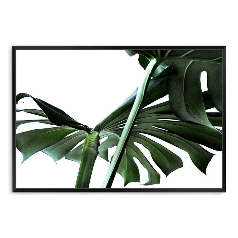 Monstera Leaves IIII-The Paper Tree-botanical,dark green,green,jungle,landscape,leaf,leaves,minimal,modern,monstera,premium art print,scandi,wall art,Wall_Art,Wall_Art_Prints