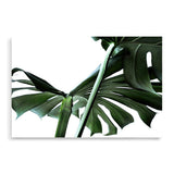 Monstera Leaves IIII-The Paper Tree-botanical,dark green,green,jungle,landscape,leaf,leaves,minimal,modern,monstera,premium art print,scandi,wall art,Wall_Art,Wall_Art_Prints