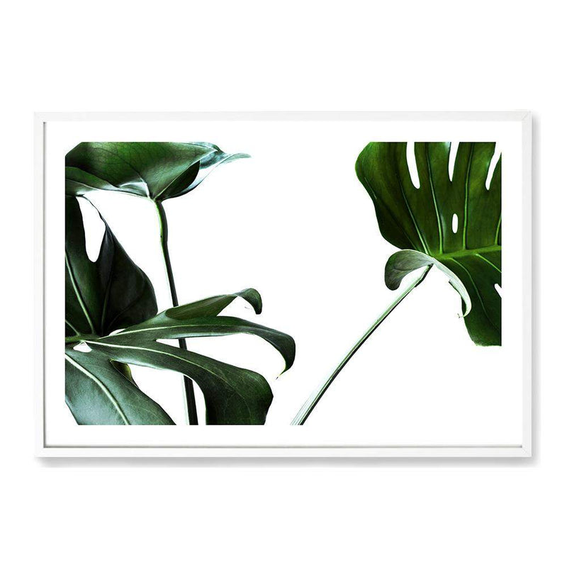 Monstera Leaves III-The Paper Tree-botanical,dark green,green,jungle,landscape,leaf,leaves,minimal,modern,monstera,premium art print,scandi,wall art,Wall_Art,Wall_Art_Prints
