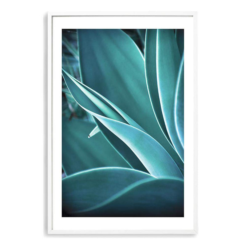 Teal Agave-The Paper Tree-blue,botanical,cacti,cactus,colourful,portrait,premium art print,spider,succulent,teal,vibrant,wall art,Wall_Art,Wall_Art_Prints,web