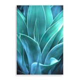 Teal Agave II-The Paper Tree-AGAVE,blue,botanical,cacti,cactus,colourful,portrait,premium art print,succulent,teal,vibrant,wall art,Wall_Art,Wall_Art_Prints