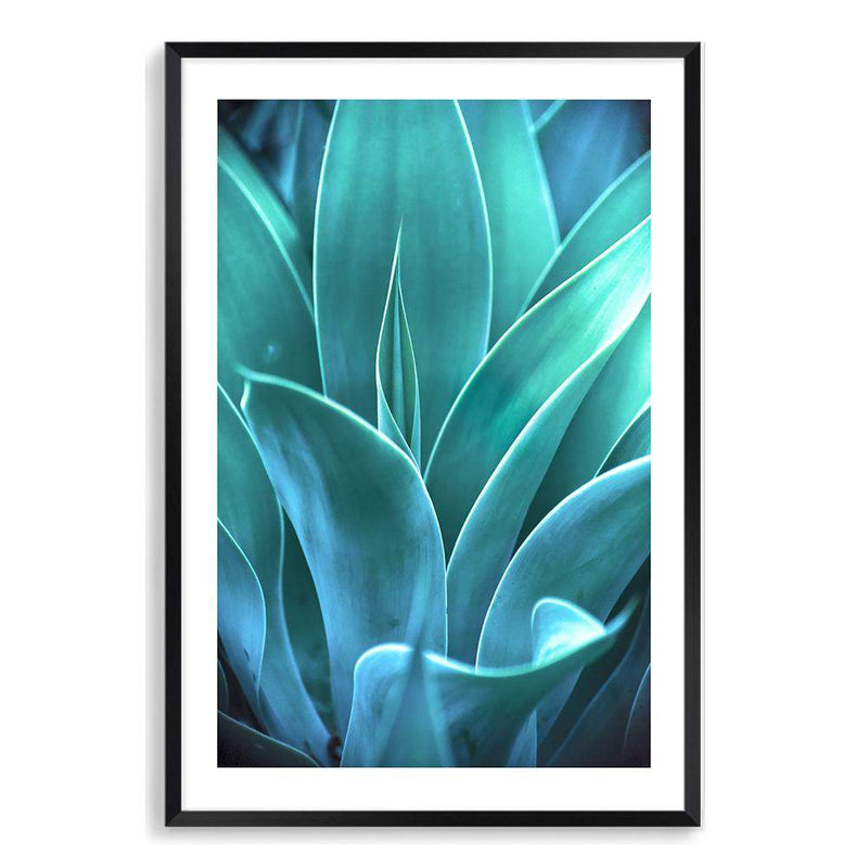 Teal Agave II-The Paper Tree-AGAVE,blue,botanical,cacti,cactus,colourful,portrait,premium art print,succulent,teal,vibrant,wall art,Wall_Art,Wall_Art_Prints