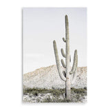 Desert Cactus-The Paper Tree-bohemian,boho,botanical,CACTUS,california,californian desert,desert,desert tree,muted tone,nature,neutral,portrait,premium art print,sand,wall art,Wall_Art,Wall_Art_Prints