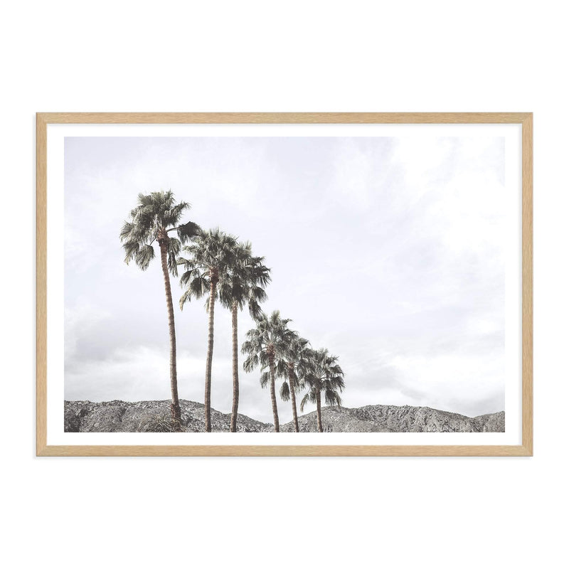 Californian Palms II-The Paper Tree-america,blue,blue sky,bohemian,boho,botanical,california,cloud,clouds,desert,horizon,landscape,palm,palm frond,palm springs,palm tree,premium art print,sky,tree,trees,usa,wall art,Wall_Art,Wall_Art_Prints