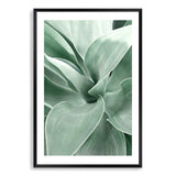 Agave-The Paper Tree-agave,botanical,cacti,cactus,colourful,green,leaf,muted tone,portrait,premium art print,succulent,wall art,Wall_Art,Wall_Art_Prints,web