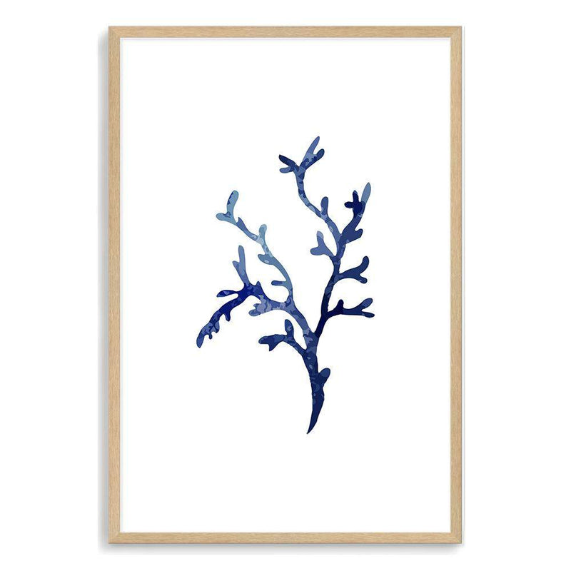 Navy Blue Coral IIIIII | Hamptons-The Paper Tree-Art_Prints,Artwork,BEACH,blue,blue coral,coastal,COASTAL ART,coral,Designer,HAMPTONS,navy,portrait,premium art print,wall art,Wall_Art,Wall_Art_Prints
