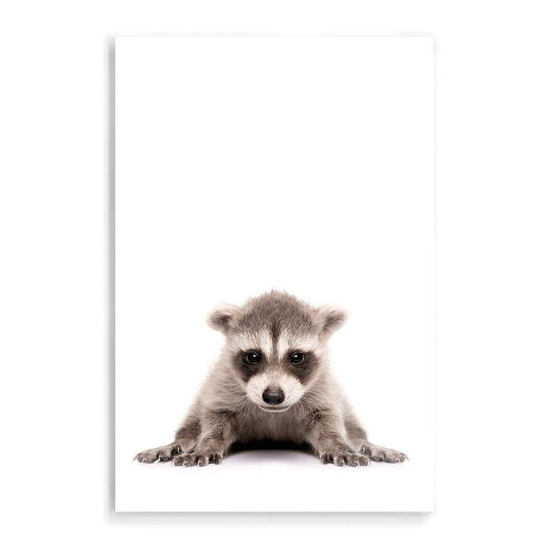 Baby Raccoon-The Paper Tree-animal,Artwork,BABY,BABY ANIMAL,BABY RACCOON,KIDS DECOR,kids room,kids wall art,nursery,NURSERY DECOR,portrait,premium art print,RACCOON,wall art,Wall_Art,Wall_Art_Prints